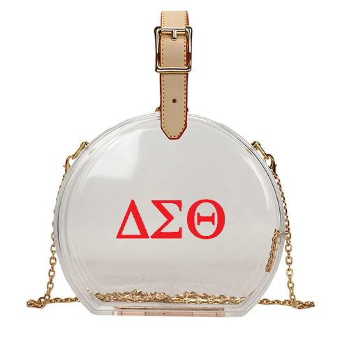 Delta Sigma Theta Clear Bag with Greek Letters. READ FULL Description before purchasing.